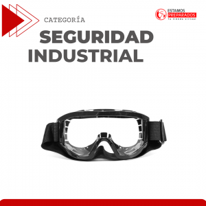 Seguridad Industrial